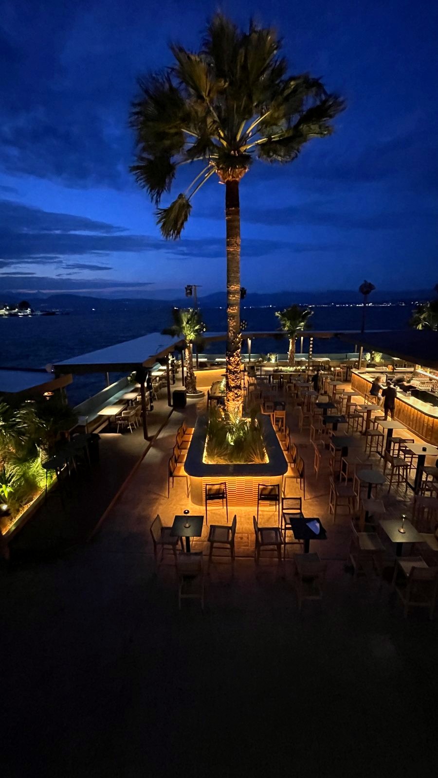 The Raval terrace at night from above: rows of tables, a palm rising from a lit planter and the dark bay beyond.