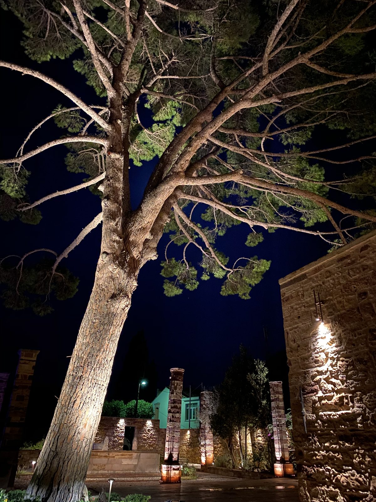A tall pine lit from its base, rising over a stone wall with a single wall light.